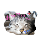 とくちゃんず（個別スタンプ：8）