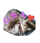 とくちゃんず（個別スタンプ：12）