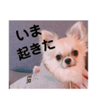 ウィズさんのスタンプ  第1章（個別スタンプ：3）
