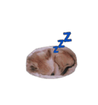 ウィズさんのスタンプ  第1章（個別スタンプ：9）