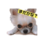 ウィズさんのスタンプ  第1章（個別スタンプ：10）