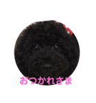 ひじきちゃんのスタンプ（個別スタンプ：3）