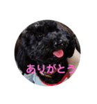 ひじきちゃんのスタンプ（個別スタンプ：4）