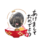 ひじきちゃんのスタンプ（個別スタンプ：6）