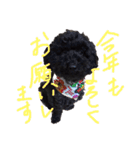 ひじきちゃんのスタンプ（個別スタンプ：7）