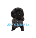 ひじきちゃんのスタンプ（個別スタンプ：19）