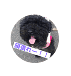 ひじきちゃんのスタンプ（個別スタンプ：32）