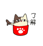 アイスネコ（個別スタンプ：6）