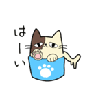 アイスネコ（個別スタンプ：12）