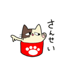 アイスネコ（個別スタンプ：14）