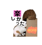 MOFB（個別スタンプ：22）