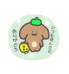 ほんわかわんことひよこ（個別スタンプ：14）