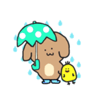 ほんわかわんことひよこ（個別スタンプ：24）