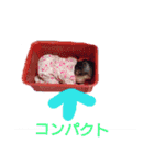 小林ダイヤスタンプ第2（個別スタンプ：13）