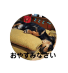 クリ＆クロちゃん（個別スタンプ：3）