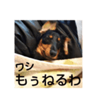 クリ＆クロちゃん（個別スタンプ：6）