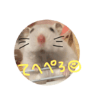 ハムスターみるくの日常①（個別スタンプ：2）
