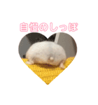 ハムスターみるくの日常①（個別スタンプ：17）