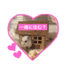 ハムスターみるくの日常①（個別スタンプ：20）