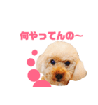 プ～イの日常会話（個別スタンプ：7）