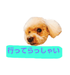 プ～イの日常会話（個別スタンプ：16）