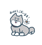 黒柴犬まろの敬語スタンプ（個別スタンプ：1）