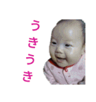 ひなっしースタンプ（個別スタンプ：22）