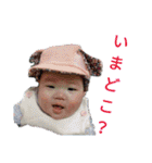 ひなっしースタンプ（個別スタンプ：40）