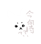 縞うさ（個別スタンプ：14）