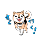 ファルケと小春（個別スタンプ：4）