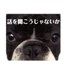 フレブルブラザーズ2（個別スタンプ：14）