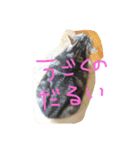 しふぉ！（個別スタンプ：2）