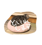 しふぉ！（個別スタンプ：5）