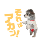 うるたんスタンプ(日常会話編2)（個別スタンプ：1）