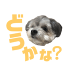 うるたんスタンプ(日常会話編2)（個別スタンプ：3）