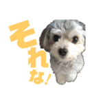 うるたんスタンプ(日常会話編2)（個別スタンプ：20）