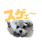 うるたんスタンプ(日常会話編2)（個別スタンプ：23）
