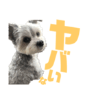 うるたんスタンプ(日常会話編2)（個別スタンプ：24）