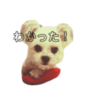 ミミちゃんの日常スタンプ（個別スタンプ：7）
