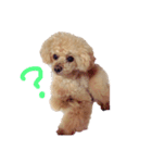 フェアリーと飼い主（個別スタンプ：7）