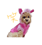 フェアリーと飼い主（個別スタンプ：8）