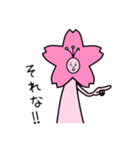 サクラな人【公式】（個別スタンプ：5）