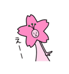サクラな人【公式】（個別スタンプ：8）
