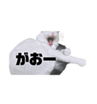 ぶらんぷ（個別スタンプ：8）