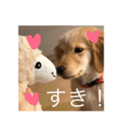 ゴールデンレトリバー【子犬編2】（個別スタンプ：29）