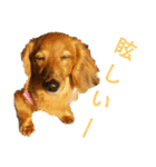 くんくんとみゅ～（個別スタンプ：6）