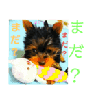くんくんとみゅ～（個別スタンプ：9）