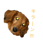 くんくんとみゅ～（個別スタンプ：10）