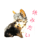 くんくんとみゅ～（個別スタンプ：15）