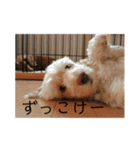 こたゆきるちあ（個別スタンプ：6）